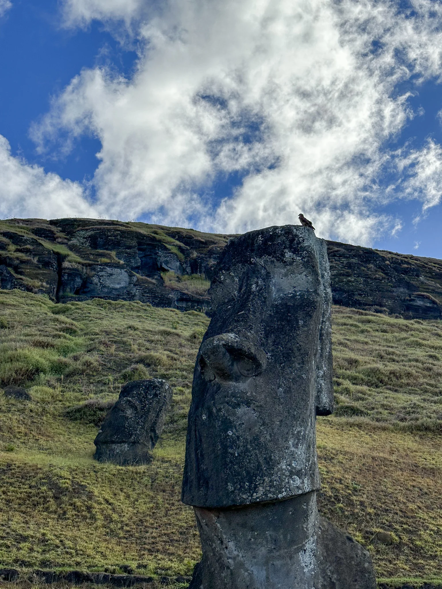 Moái tallado en la ladera volcánica